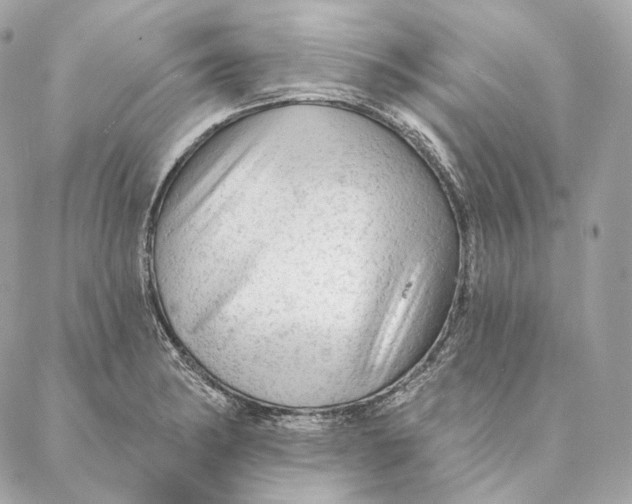 X0000087381182200705111728