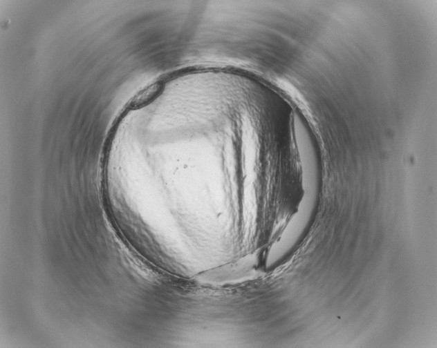 X0000087381183200705111728