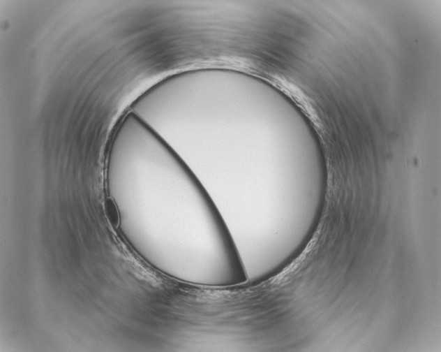 X0000087381184200705111728