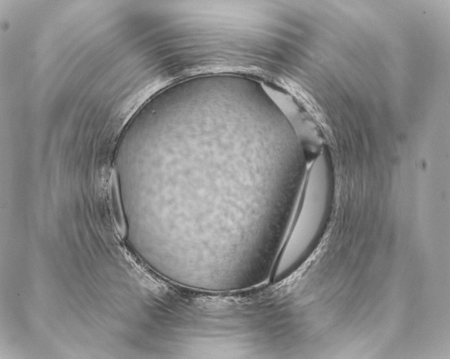 X0000087381185200705111728