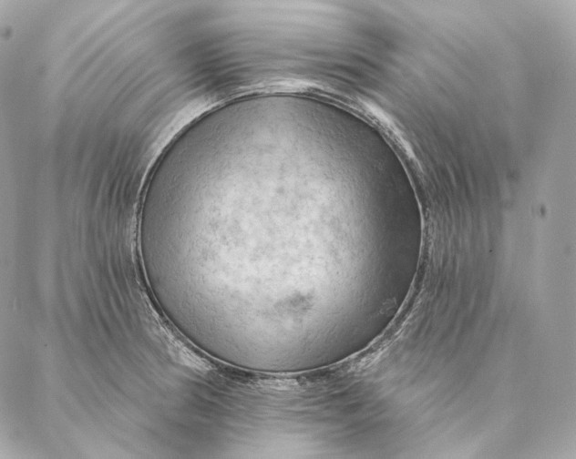 X0000087381186200705111728