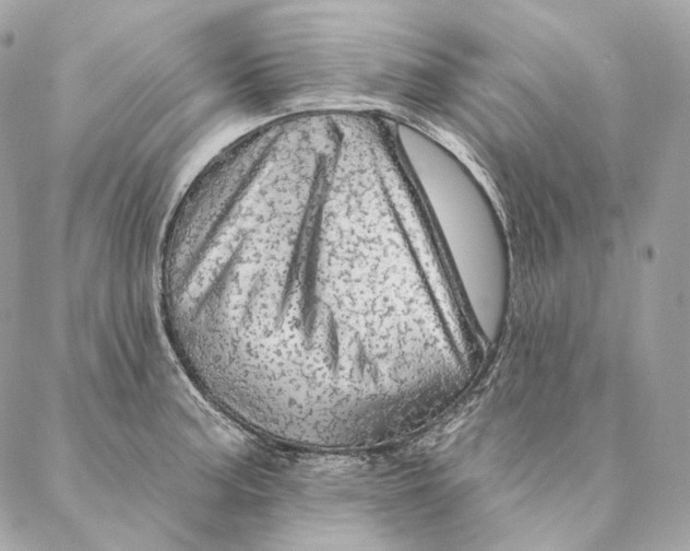 X0000087381187200705111728