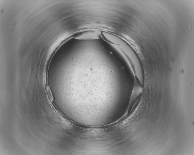 X0000087381188200705111728