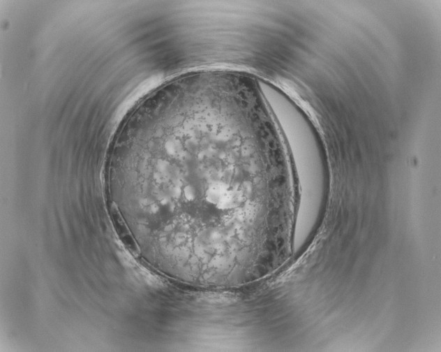 X0000087381189200705111728