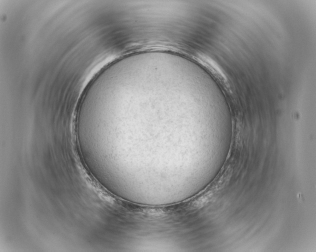 X0000087381190200705111728