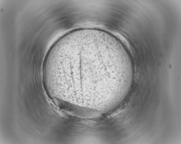 X0000087381191200705111728