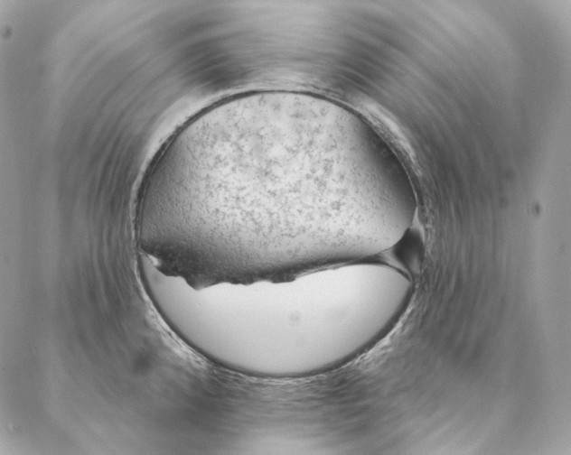 X0000087381192200705111728