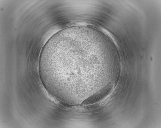 X0000087381194200705111728