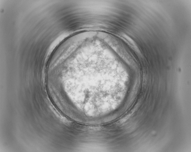 X0000087381196200705111727