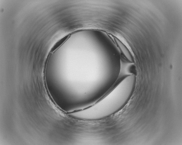 X0000087381197200705111727