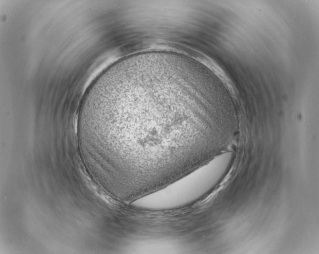 X0000087381198200705111727