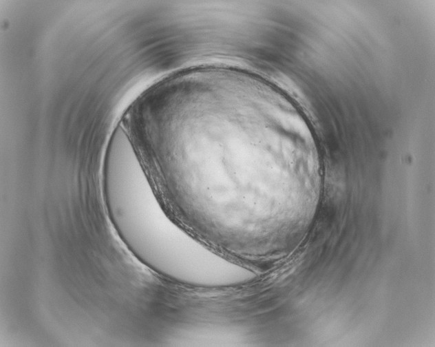 X0000087381199200705111727