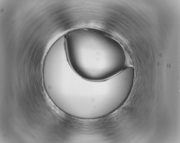 X0000087381200200705111727