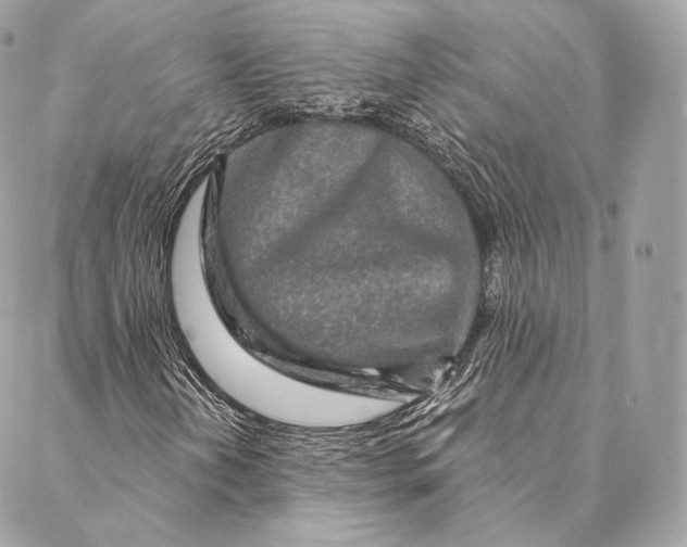 X0000087381202200705111727