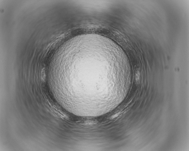 X0000087381204200705111727