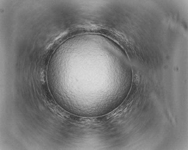 X0000087381205200705111727