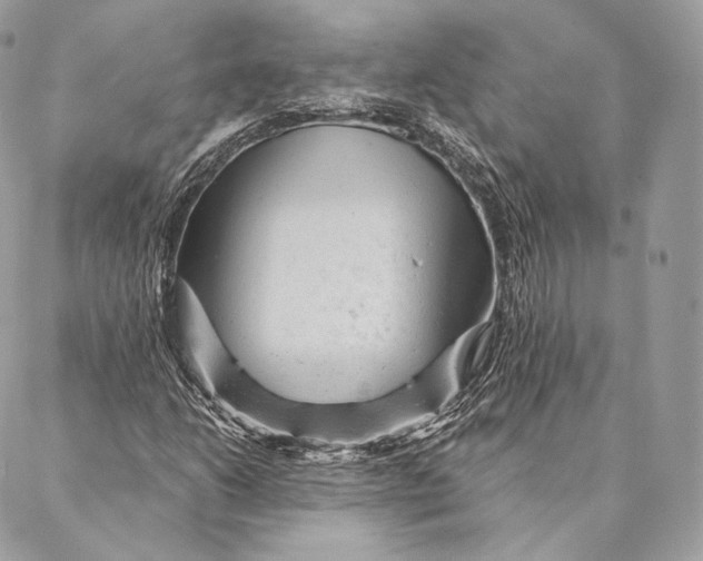 X0000087381206200705111727