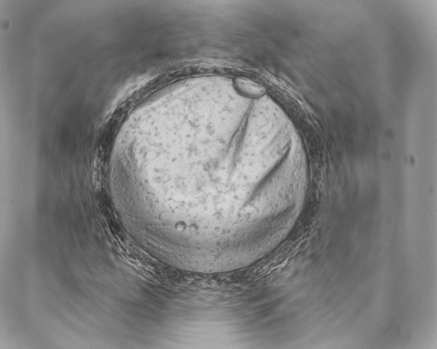 X0000087381207200705111727