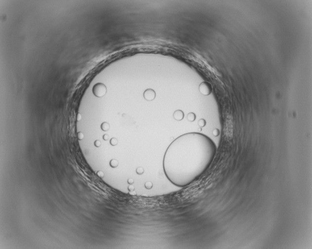 X0000087381208200705111727