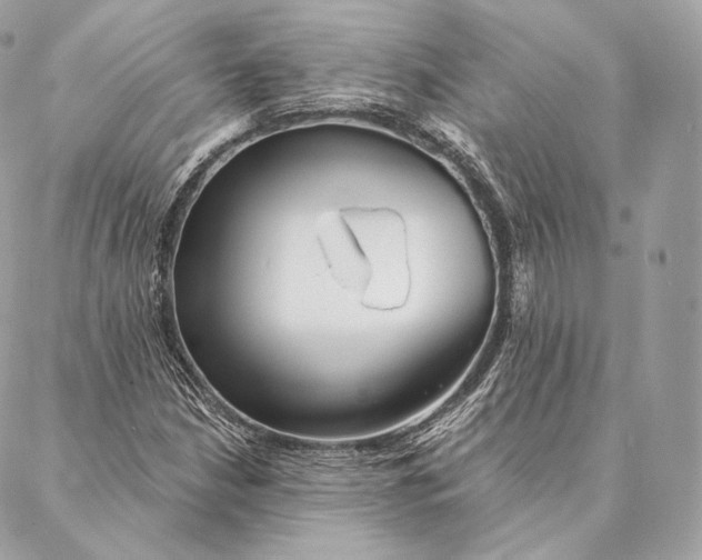 X0000087381210200705111727