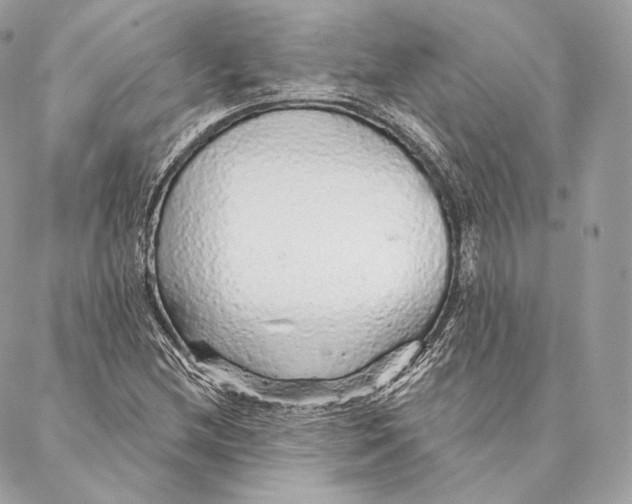 X0000087381212200705111727