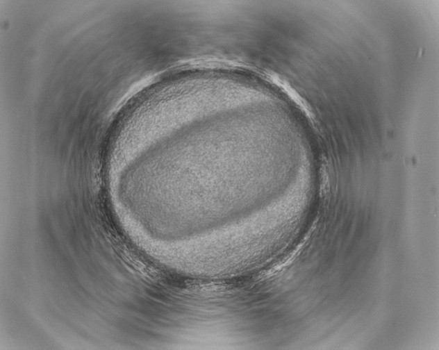 X0000087381213200705111727