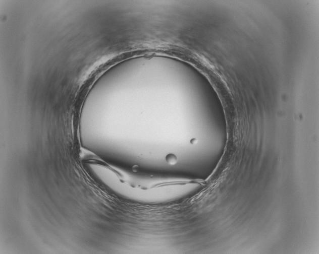 X0000087381214200705111727