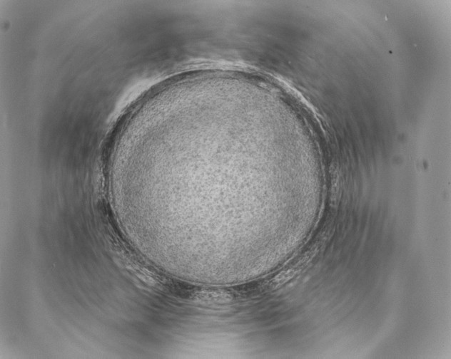 X0000087381215200705111727