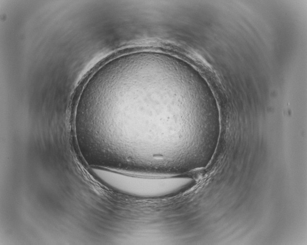 X0000087381216200705111727