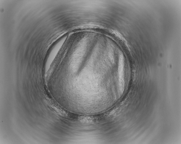 X0000087381217200705111727