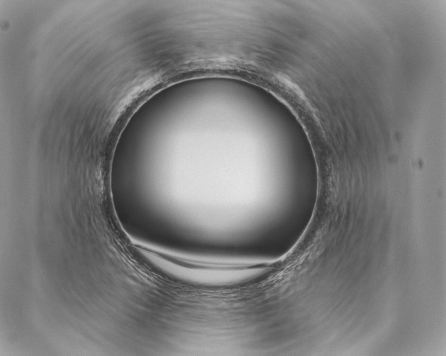 X0000087381218200705111727