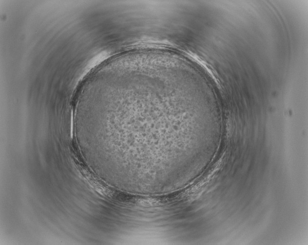 X0000087381219200705111727