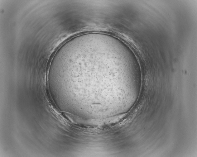 X0000087381220200705111727