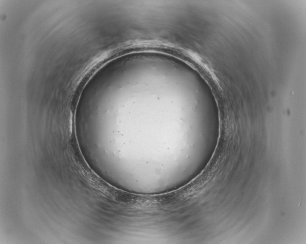 X0000087381221200705111727