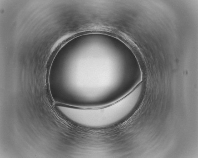 X0000087381222200705111727