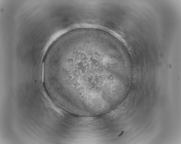 X0000087381223200705111727