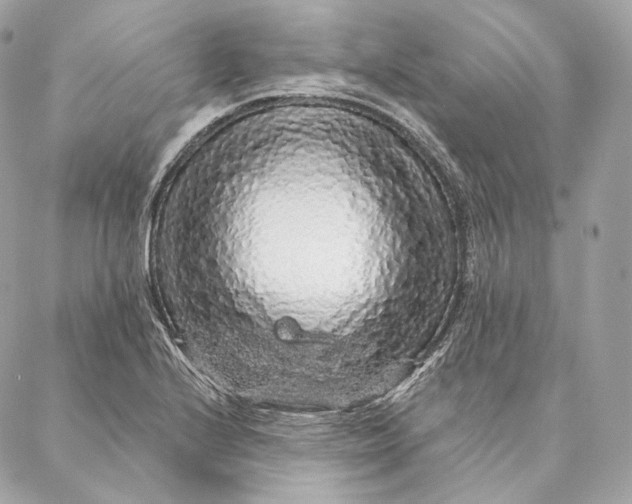 X0000087381224200705111727