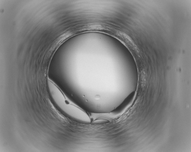 X0000087381225200705111727