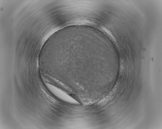 X0000087381226200705111727