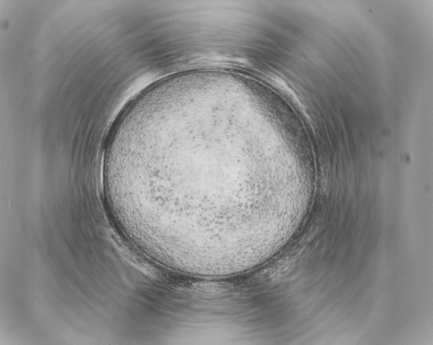 X0000087381227200705111727