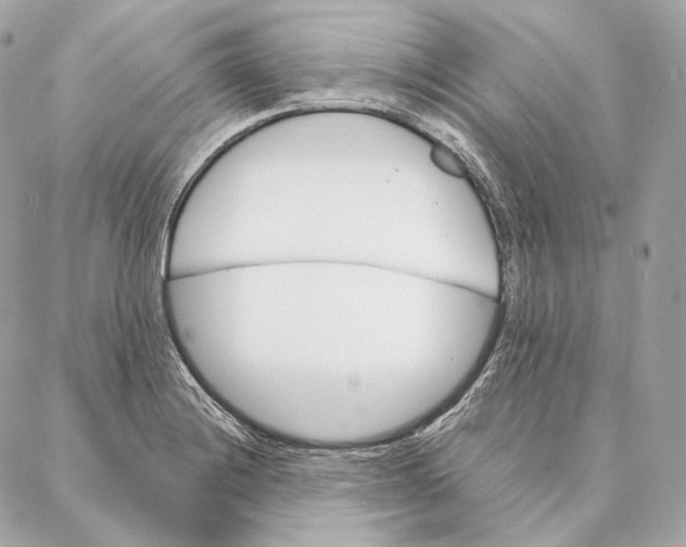 X0000087381228200705111727