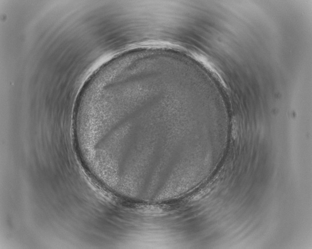 X0000087381229200705111727