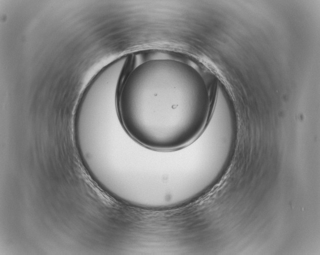 X0000087381230200705111727