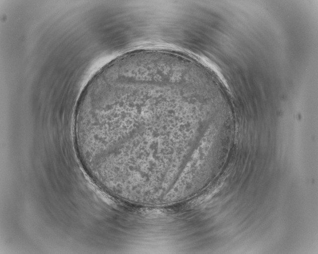 X0000087381231200705111727