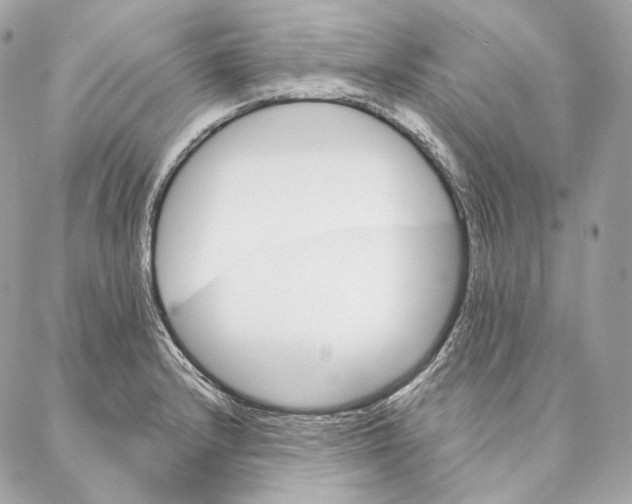 X0000087381232200705111727