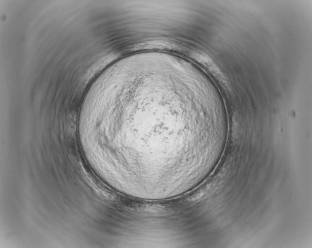 X0000087381233200705111727