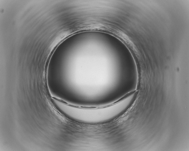 X0000087381234200705111727