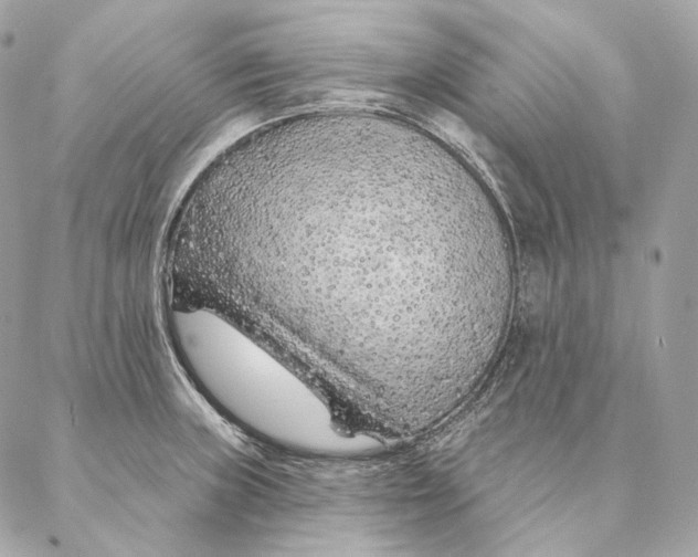 X0000087381235200705111727