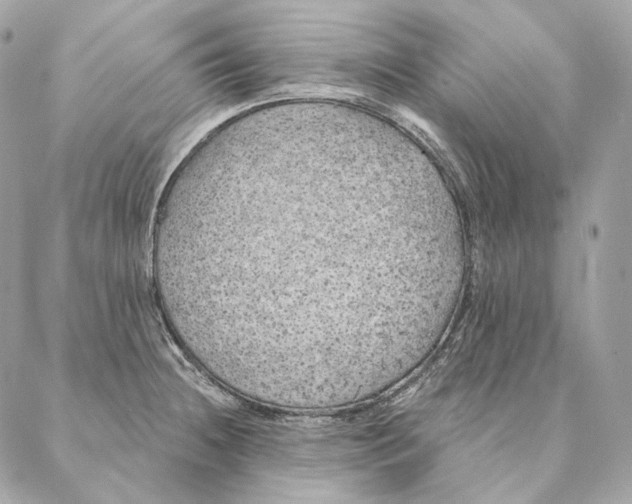 X0000087381236200705111727