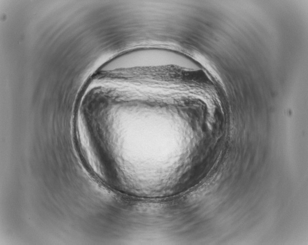 X0000087381237200705111727